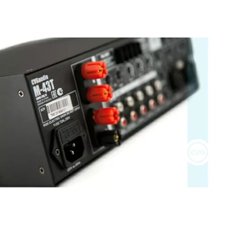 Купить CVGAUDIO M-43T по выгодной цене в Екатеринбурге