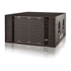 Купить DAS Audio UX-218 по выгодной цене в Екатеринбурге
