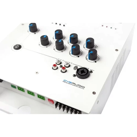 Купить CVGAUDIO ReBox T8-SM по выгодной цене в Екатеринбурге