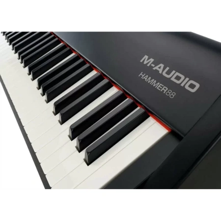 Купить M-audio Hammer 88 по выгодной цене в Екатеринбурге