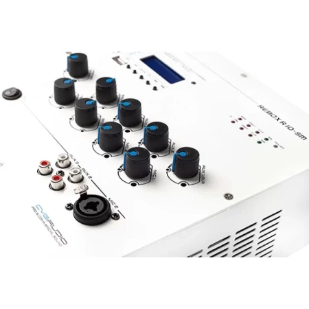 Купить CVGAUDIO ReBox R10-SM по выгодной цене в Екатеринбурге