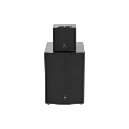 Купить DS Proaudio ANT по выгодной цене в Екатеринбурге