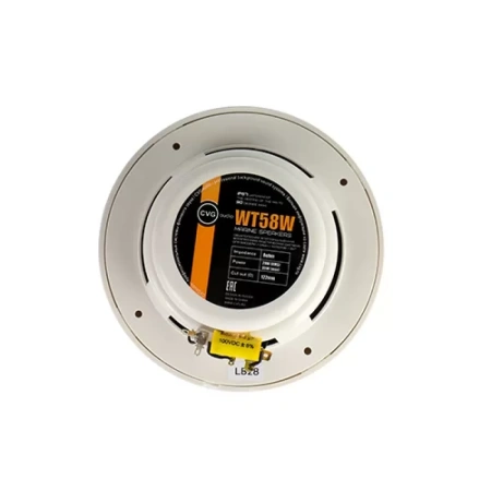 Купить CVGAUDIO WT58W по выгодной цене в Екатеринбурге