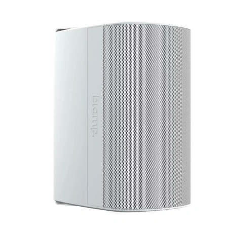 Купить Biamp Desono DX-S5-UB-W White по выгодной цене в Екатеринбурге