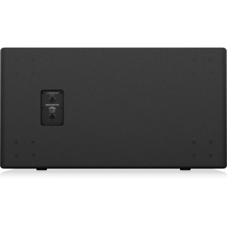 Купить TURBOSOUND MS218 по выгодной цене в Екатеринбурге