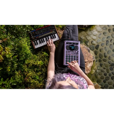 Купить ROLAND SP-404MKII по выгодной цене в Екатеринбурге