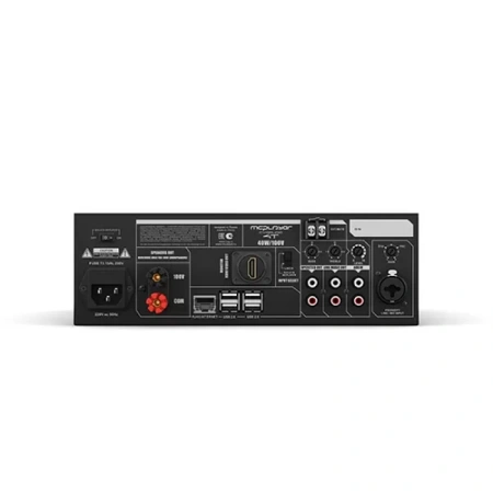 Купить CVGAUDIO MCplayer-4T по выгодной цене в Екатеринбурге