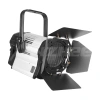 Купить ANZHEE PRO Spectrum Fresnel F 300 по выгодной цене в Екатеринбурге